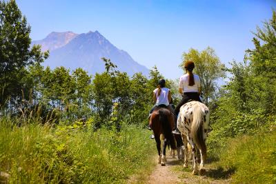 Horse-Riding-Mountains