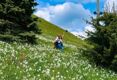 SCHOOL-YEAR-Hiking-Narcissus